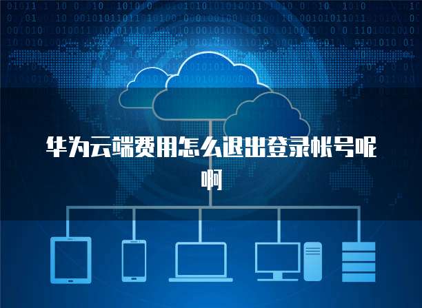华为云端费用怎么退出登录帐号呢啊