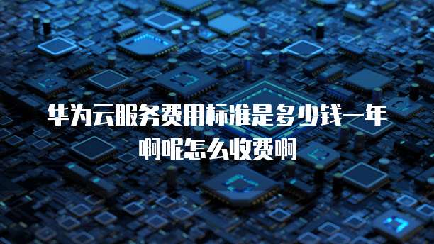 华为云服务费用标准是多少钱一年啊呢怎么收费啊