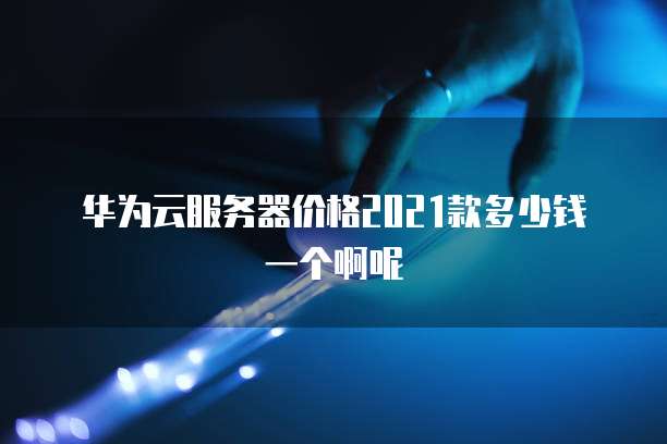 华为云服务器价格2021款多少钱一个啊呢