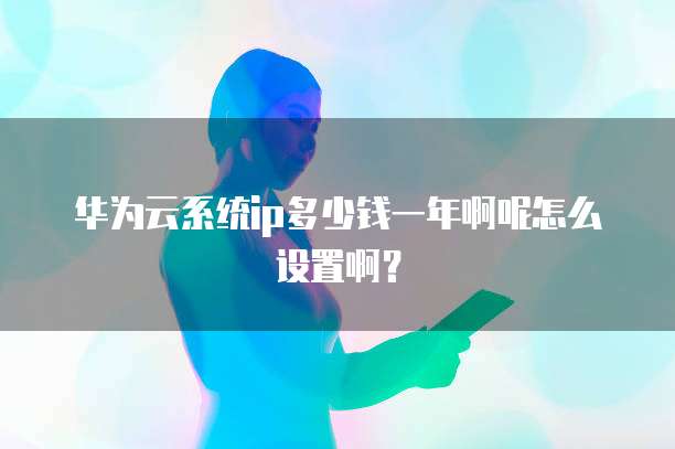 华为云系统ip多少钱一年啊呢怎么设置啊?