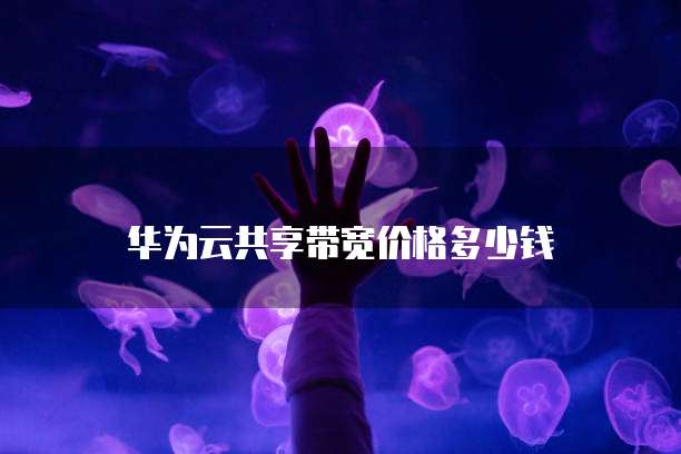华为云堡垒机关联资源的作用与优势