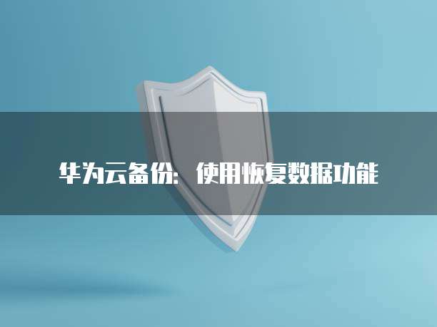 ERP华为云服务器:企业数字化转型的利器