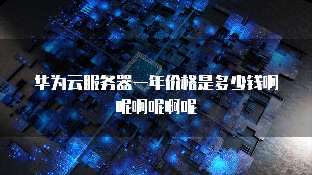华为云服务器一年价格是多少钱啊呢啊呢啊呢