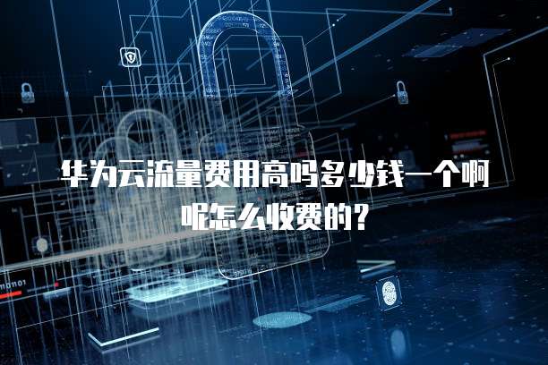 华为云流量费用高吗多少钱一个啊呢怎么收费的?