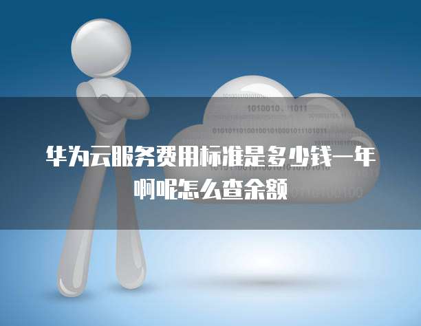 华为云服务费用标准是多少钱一年啊呢怎么查余额