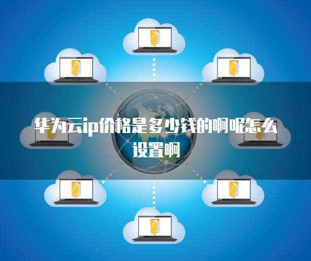 华为云ip价格是多少钱的啊呢怎么设置啊