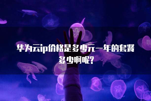华为云ip价格是多少元一年的套餐多少啊呢?