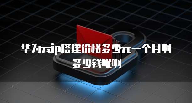 华为云ip搭建价格多少元一个月啊多少钱呢啊