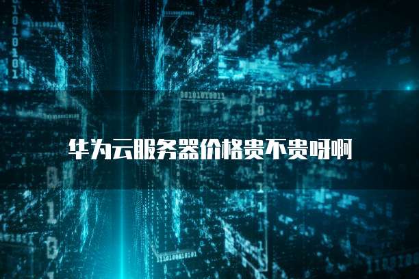 华为云服务器价格贵不贵呀啊