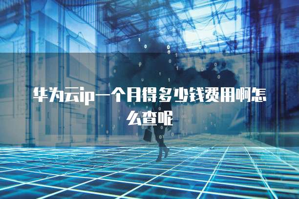 华为云ip一个月得多少钱费用啊怎么查呢