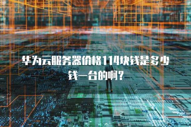 华为云服务器价格114块钱是多少钱一台的啊?