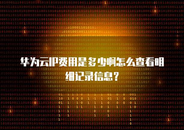 华为云IP费用是多少啊怎么查看明细记录信息?