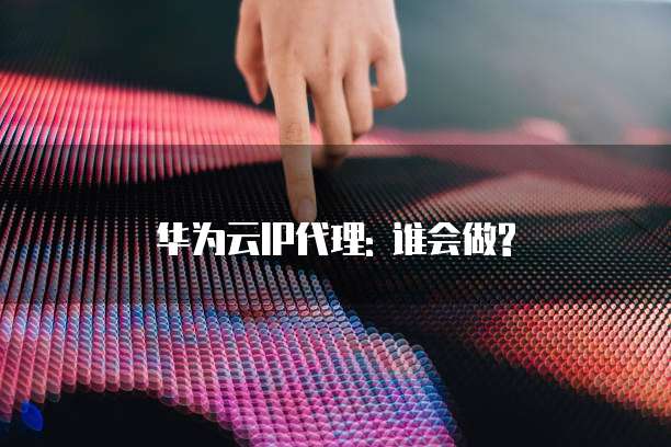 华为云IP代理: 谁会做?