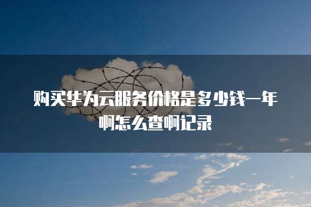 购买华为云服务价格是多少钱一年啊怎么查啊记录