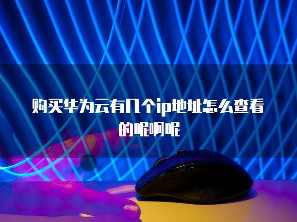 购买华为云有几个ip地址怎么查看的呢啊呢