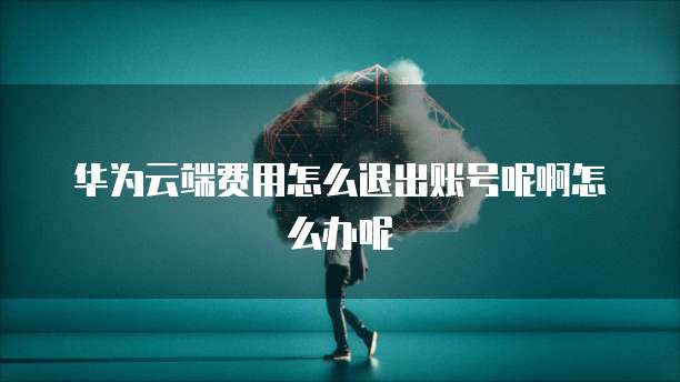 华为云端费用怎么退出账号呢啊怎么办呢
