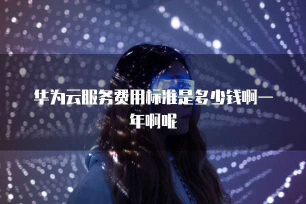 华为云服务费用标准是多少钱啊一年啊呢