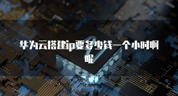 华为云搭建ip要多少钱一个小时啊呢