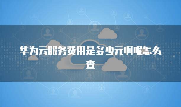 华为云服务费用是多少元啊呢怎么查
