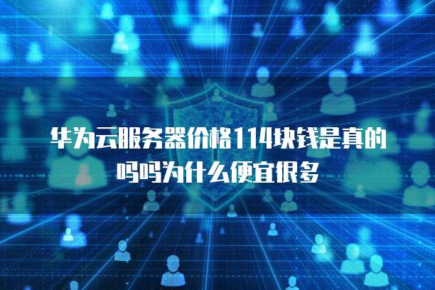 华为云服务器价格114块钱是真的吗吗为什么便宜很多