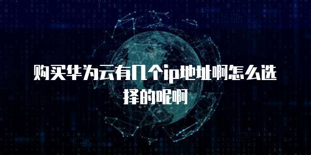 购买华为云有几个ip地址啊怎么选择的呢啊