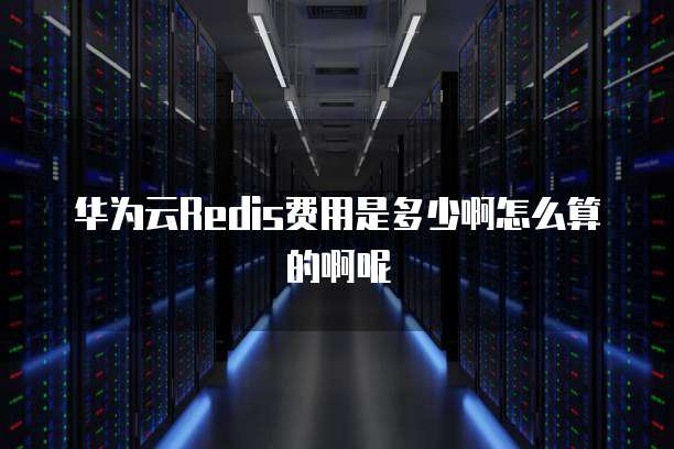 华为云Redis费用是多少啊怎么算的啊呢