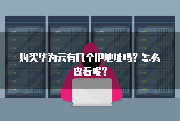 购买华为云有几个IP地址吗？怎么查看呢？