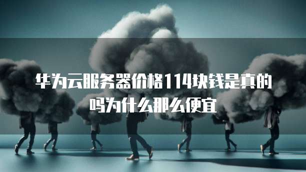 华为云服务器价格114块钱是真的吗为什么那么便宜