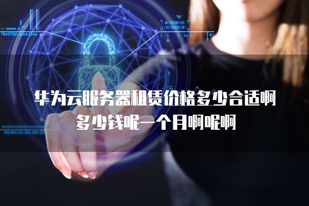 华为云服务器租赁价格多少合适啊多少钱呢一个月啊呢啊