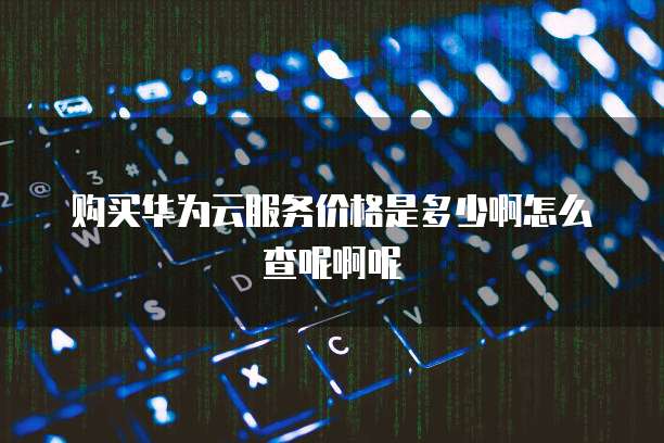 购买华为云服务价格是多少啊怎么查呢啊呢