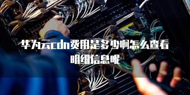 华为云cdn费用是多少啊怎么查看明细信息呢
