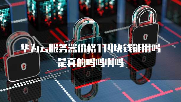 华为云服务器价格114块钱能用吗是真的吗吗啊吗