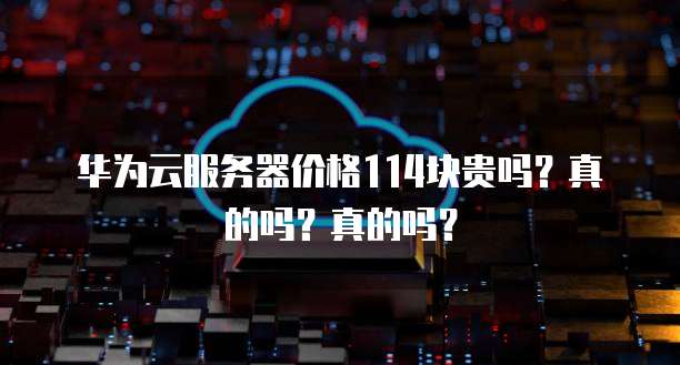 华为云服务器价格114块贵吗?真的吗?真的吗?