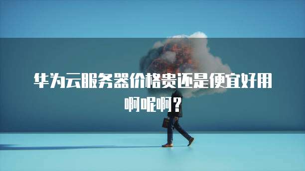 华为云服务器价格贵还是便宜好用啊呢啊?