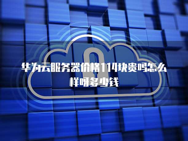 华为云服务器价格114块贵吗怎么样呀多少钱