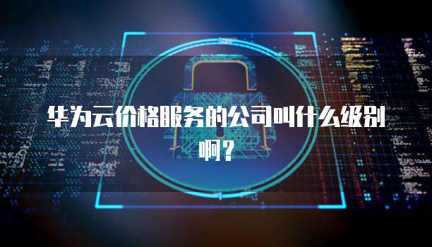 华为云价格服务的公司叫什么级别啊?
