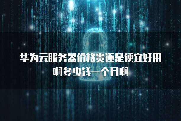 华为云服务器价格贵还是便宜好用啊多少钱一个月啊