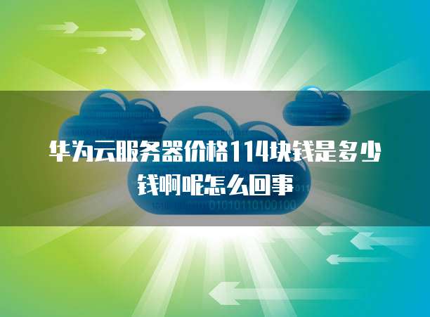 华为云服务器价格114块钱是多少钱啊呢怎么回事