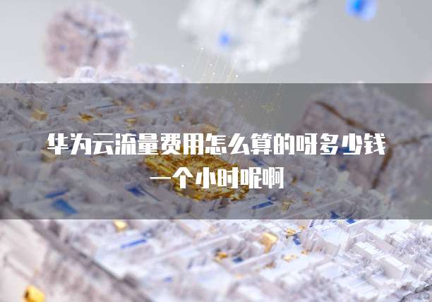 华为云流量费用怎么算的呀多少钱一个小时呢啊