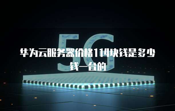 华为云服务器价格114块钱是多少钱一台的