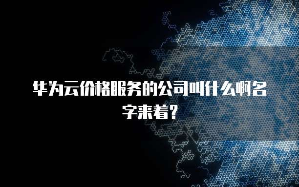 华为云价格服务的公司叫什么啊名字来着?