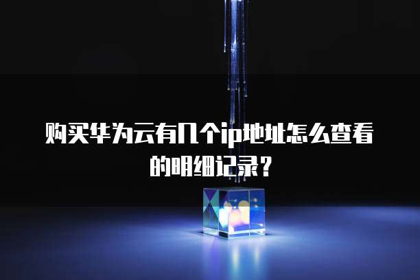 购买华为云有几个ip地址怎么查看的明细记录?