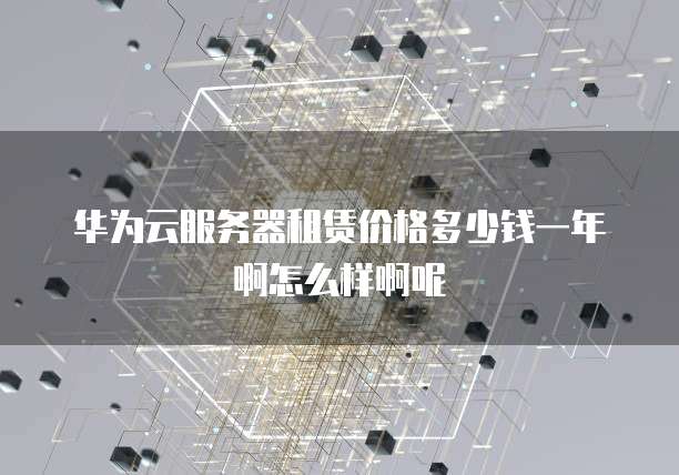 华为云服务器租赁价格多少钱一年啊怎么样啊呢