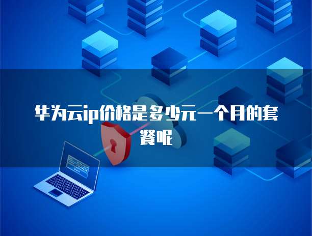 华为云ip价格是多少元一个月的套餐呢