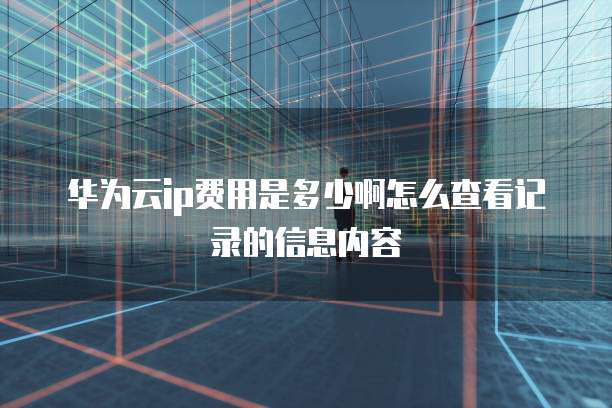 华为云ip费用是多少啊怎么查看记录的信息内容