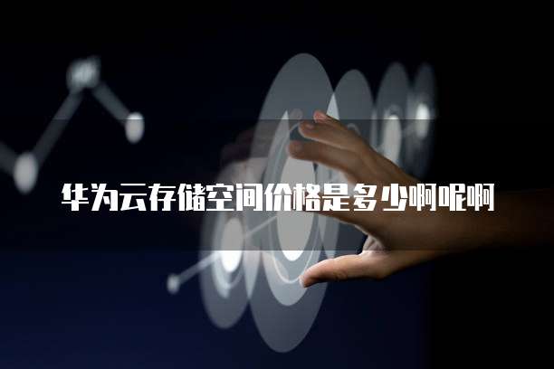 华为云存储空间价格是多少啊呢啊