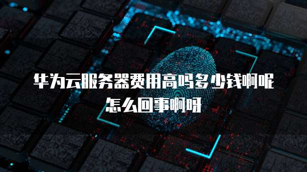 华为云服务器费用高吗多少钱啊呢怎么回事啊呀