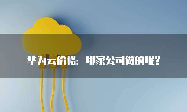 华为云价格:哪家公司做的呢?