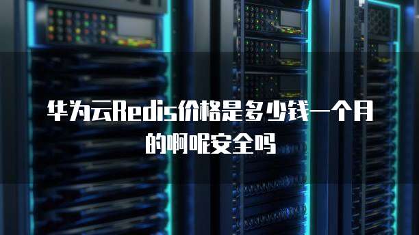 华为云Redis价格是多少钱一个月的啊呢安全吗