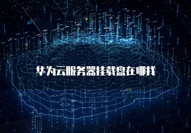 华为云企业服务器怎么用